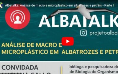 Detección de micro y macro plásticos en Albatros y grandes Petreles