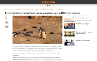 Investigación chubutense sobre pingüinos en la BBC de Londres